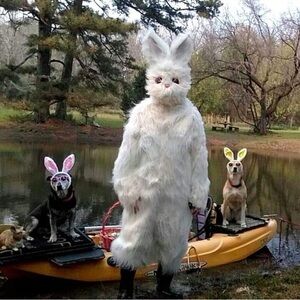 Storage Remodeling Sale . Brand new 4 pieces White Furry Bunny Costume